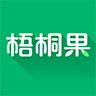 梧桐果网
